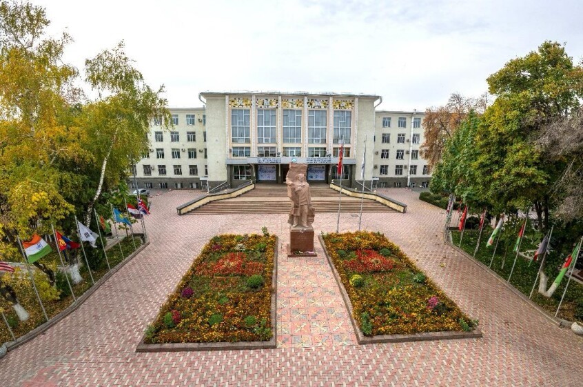 ���� 2 (3).jpg