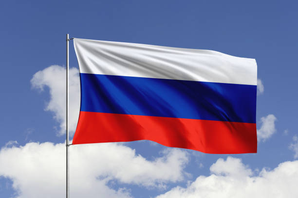 istockphoto-1731528418-612x612.jpg